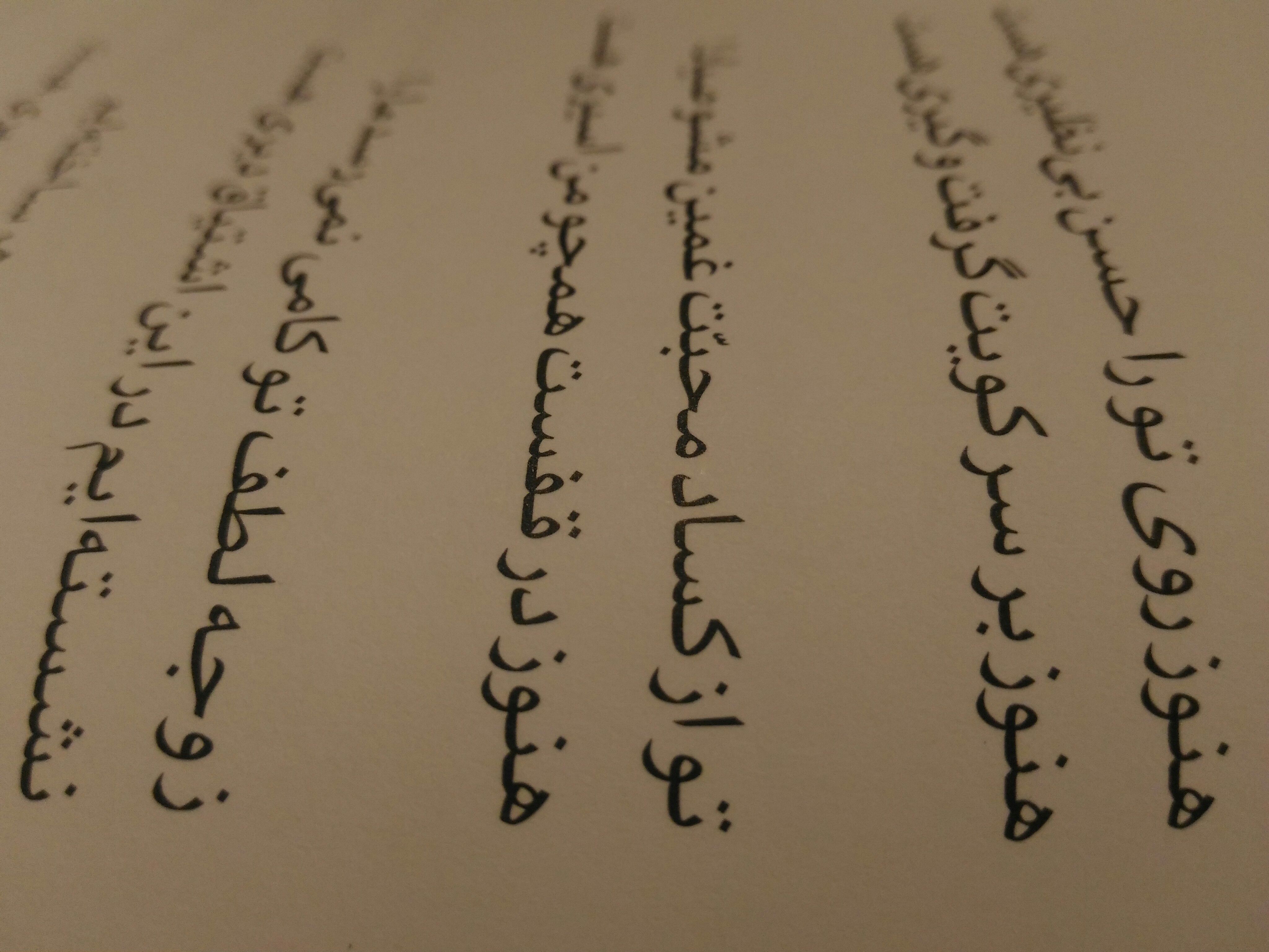 پرونده:15657170808811570730487.jpg