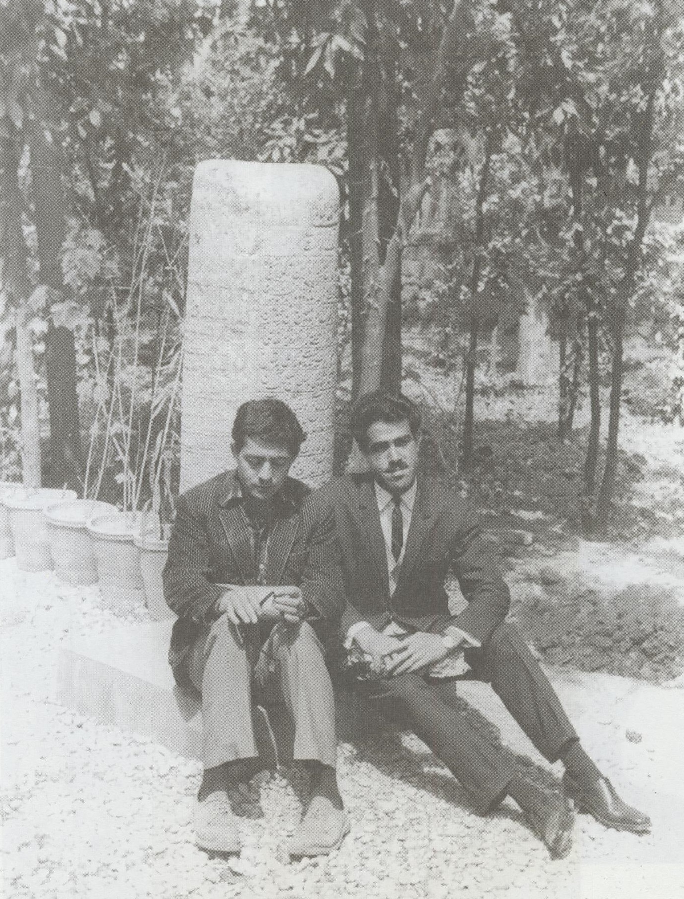 منصور اوجی و احمدرضا احمدی